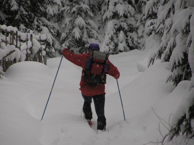 ski.jpg