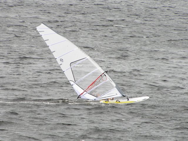 p9037814.jpg