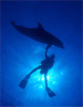 Delfin & Diver