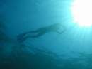 Freediver