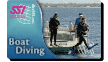 Card BOAT Diving