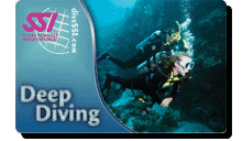 Card DEEP Diver