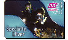 Card ICE Diving