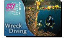 Card WRECK Diver
